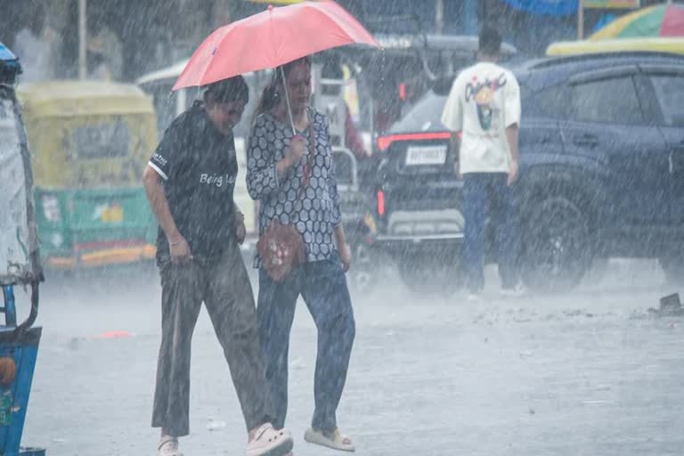 hindi-news-28.jpg