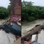 hindi-news-7.webp.webp