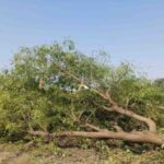 hindi-news-39.jpg